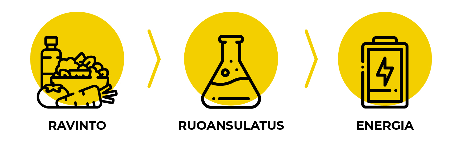 ruoansulatukseen